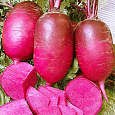 Дайкон  Малиновый нектар F1