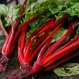 Мангольд обыкновенный Алый
